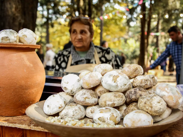 Fruit and Cheese Festivals