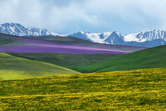 Full Package 7-Day Almaty Tour - Image 10